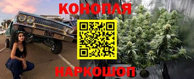 тгк Камышлов