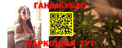 тгк Камышлов
