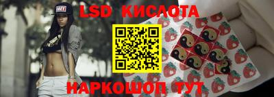 тгк Камышлов