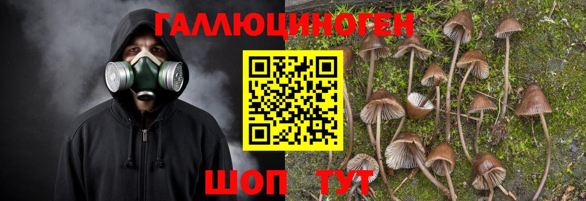Лениногорск  Псилоцибиновые грибы GOLDEN TEACHER  Вход с VPN 