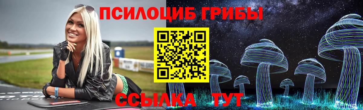 Псилоцибиновые грибы GOLDEN TEACHER Лениногорск